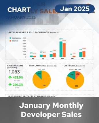 MDS Infographics January 2025